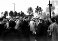 18894