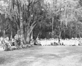 18985