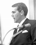 19561