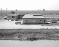 20118