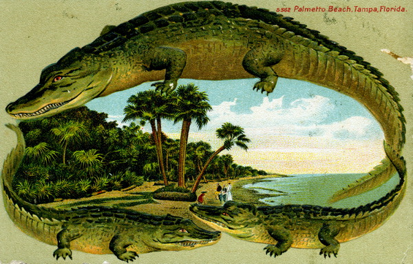 Palmetto Beach - Tampa, Florida