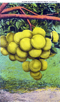 158178