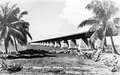 163036