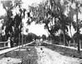 1913