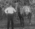 1936