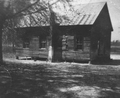 2006