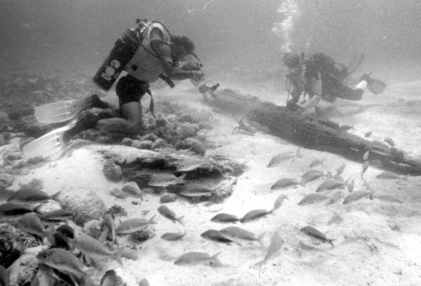 Marine archaeologists investigating ship wreckage - Upper Matecumbe Key, Florida