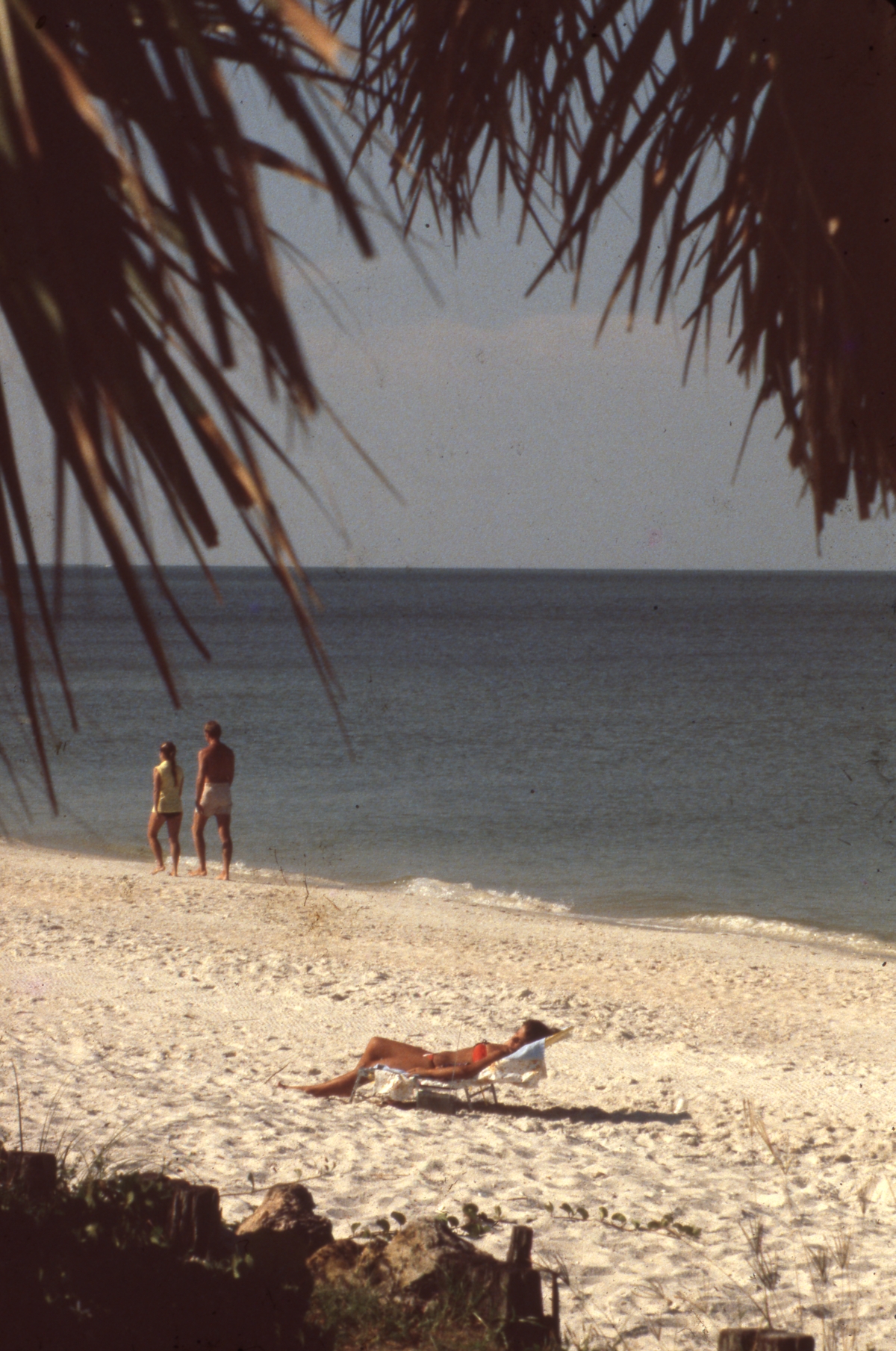 Small section of the beach - Naples, Florida
