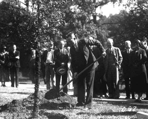Governor Doyle E. Carlton helping plant George Washington memorial tree