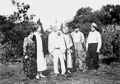 25517