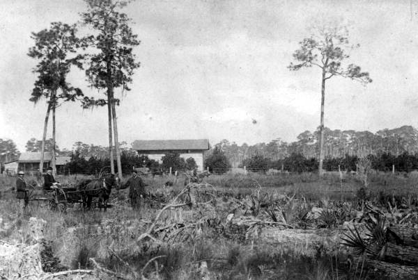 George Dakin and his son Leonard (in buggy) at the Racimo Plantation - Georgetown Region, Florida