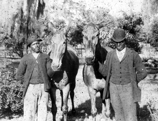 African American men holding mules - Orlando, Florida