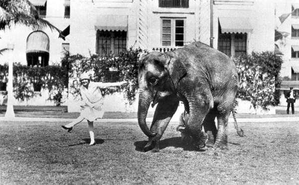 Rosie and friend dancing in front of the Boulevard Hotel - Miami Beach, Florida