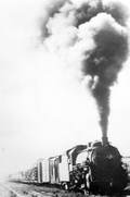33559