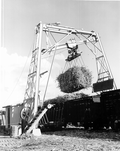 38903