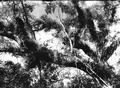 49199
