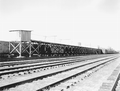 53154