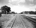 53505