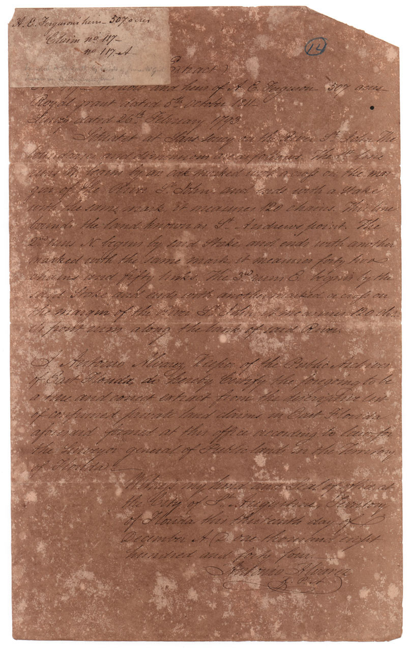 41