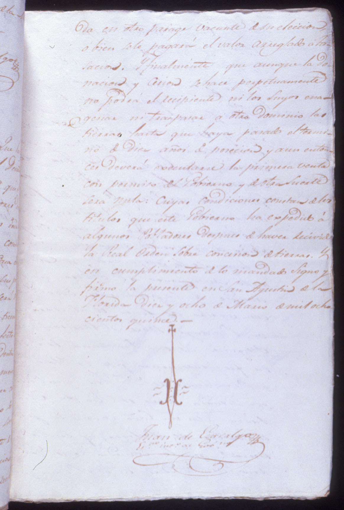 26