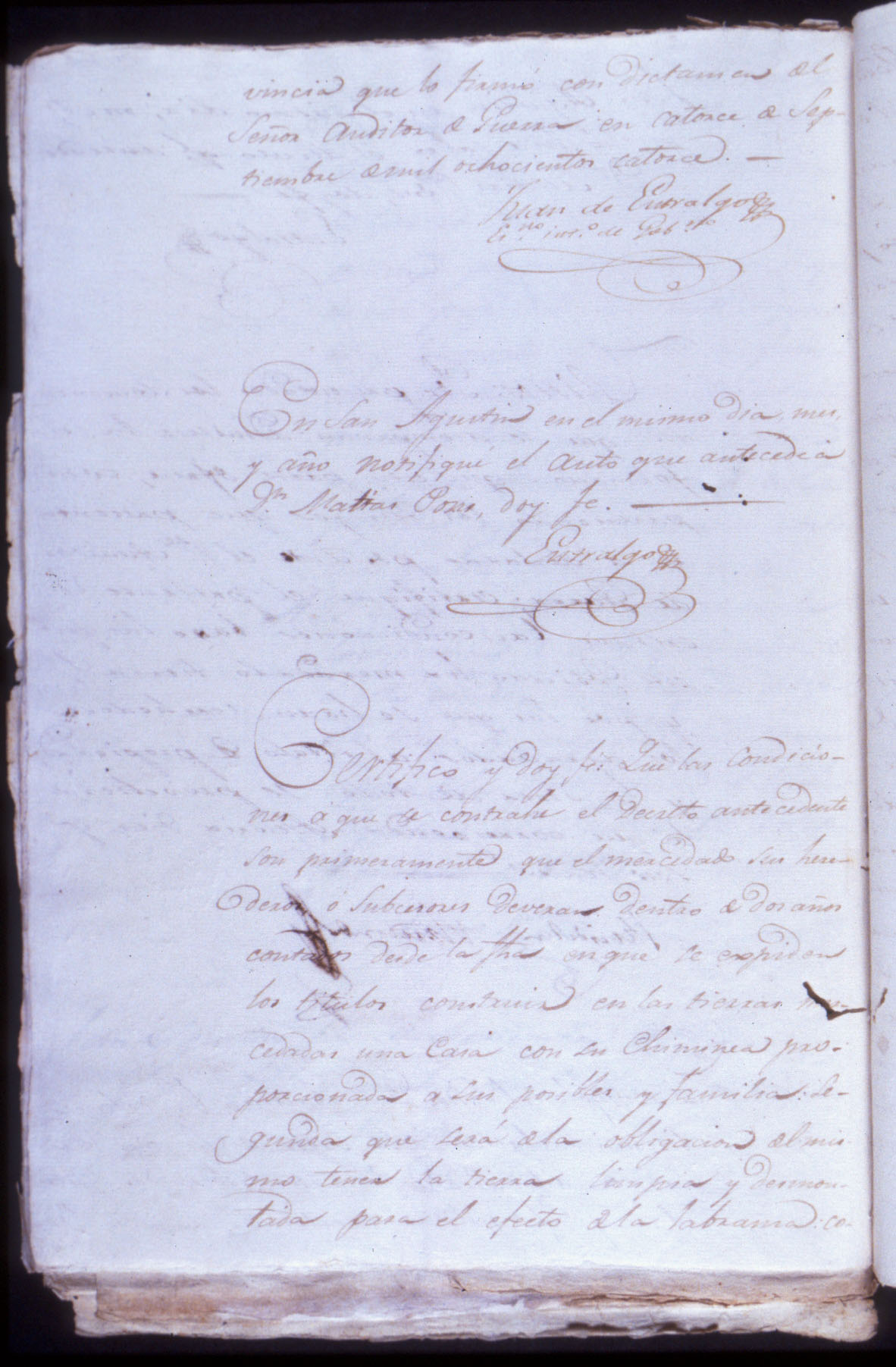 14