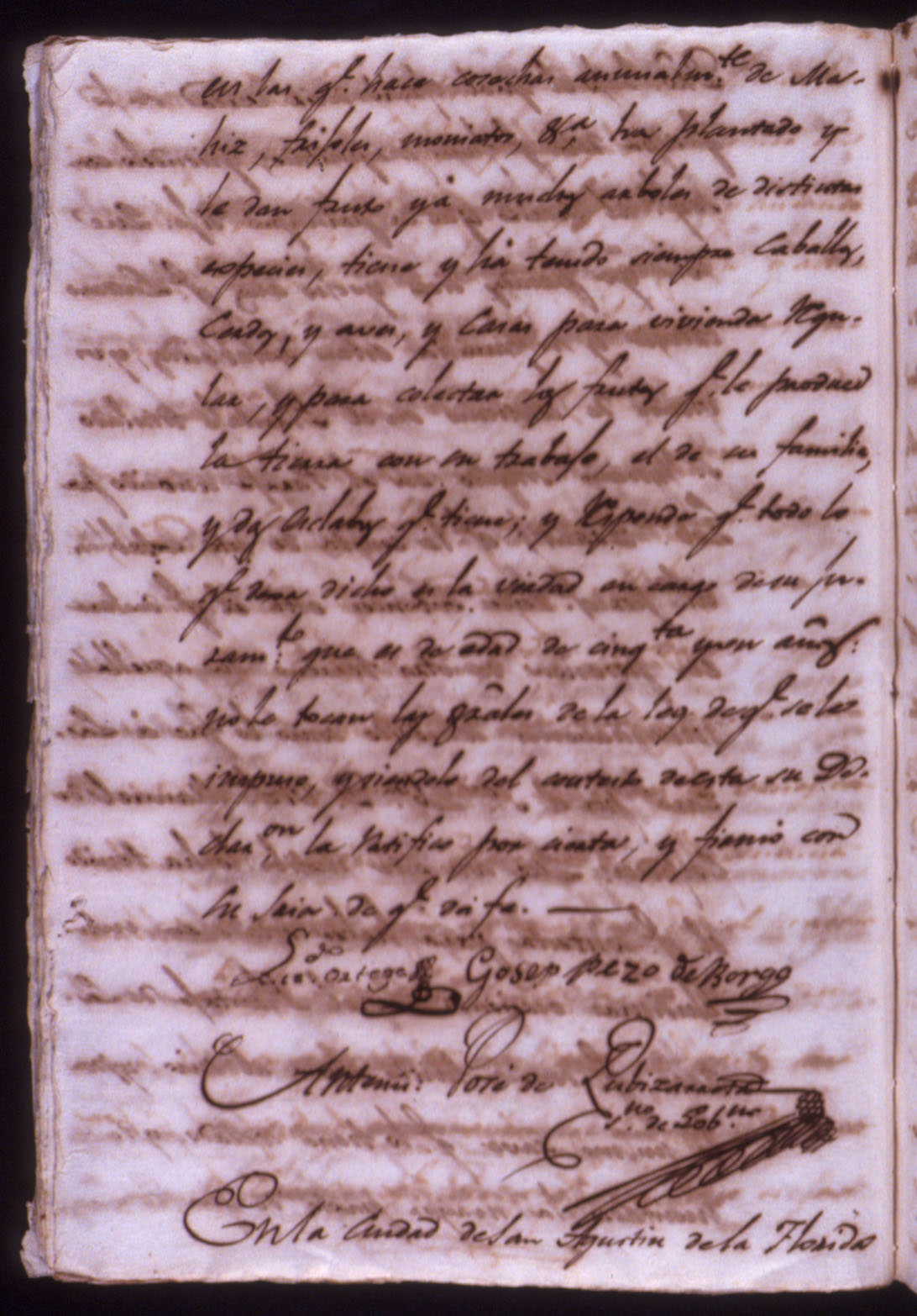 16