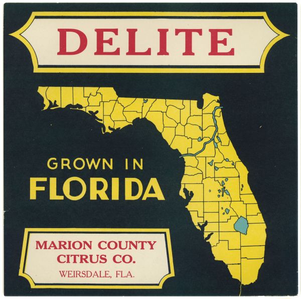 Citrus Label for Delite - Black and Yellow