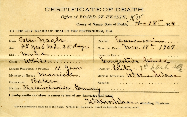 Nagle, Peter death certificates