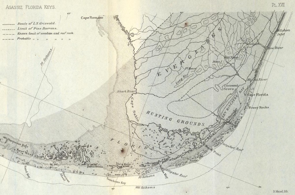 Map of the Florida Keys, from a report by Louis Agassiz (1880).