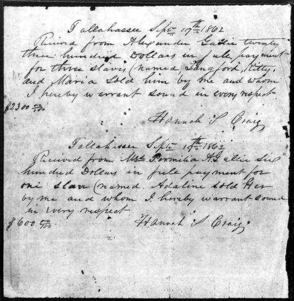 Receipts for the sale of slaves: Tallahassee (September 19, 1862) Receipts for the sale of slaves: Tallahassee (September 19, 1862)