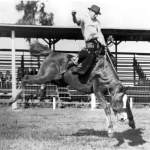 Not Our First Rodeo