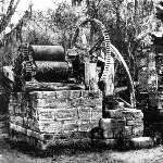 Dunlawton Sugar Plantation