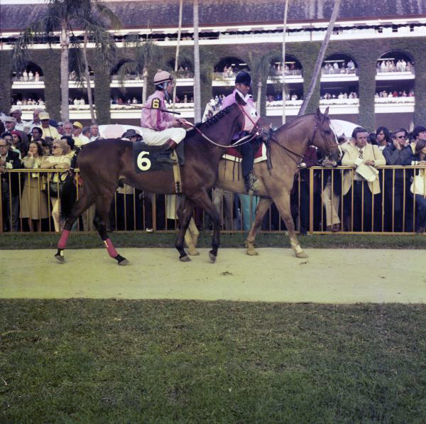 Jockey Craig Perret with "Brach's Hilarious" at the Hialeah Racetrack.