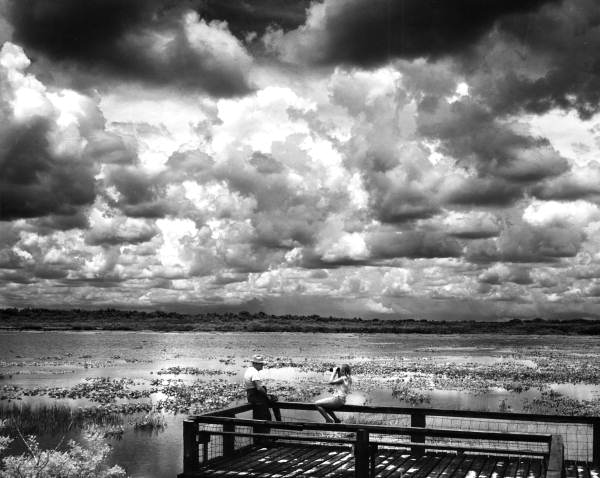 Scenic view showing visitors at the Myakka River State Park - Sarasota, Florida.