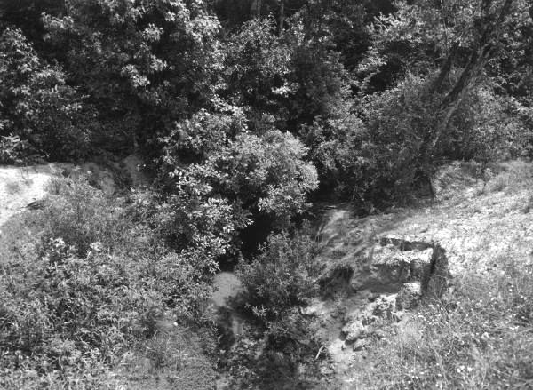 Looking northerly at proposed drainage structure site opposite ACLRR drainage structure.