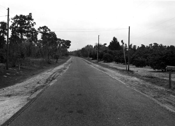 View of a state road - Flagler County, Florida