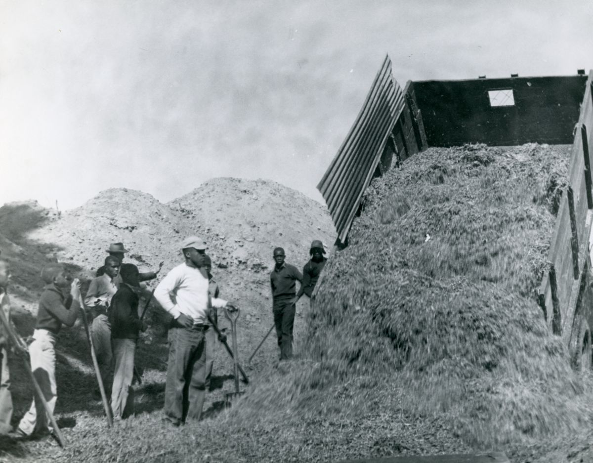 African American boys working on farm at the School for Boys in Marianna, Florida.