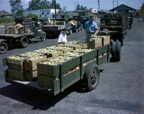 Future Farmers of America tomato crates loaded onto truck in Palmetto, Florida.