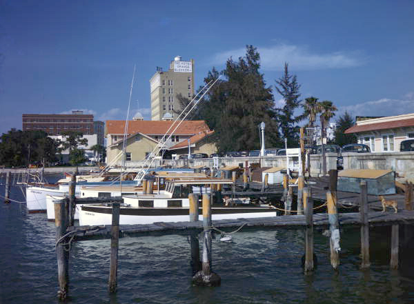 View showing charter boats docked at the municipal pier in Sarasota, Florida.