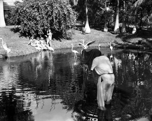 Joe Steinmetz photographing models at Sarasota Jungle Gardens.