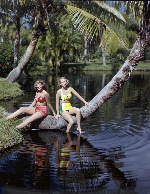 Nora Carrol, left, and Joe's daughter Lois Duncan Steinmetz sitting on a palm tree at Sarasota Jungle Gardens.