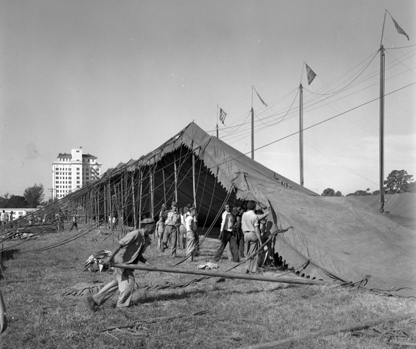 Raising the big top tent for the last showing of the 1947 season - Sarasota, Florida.
