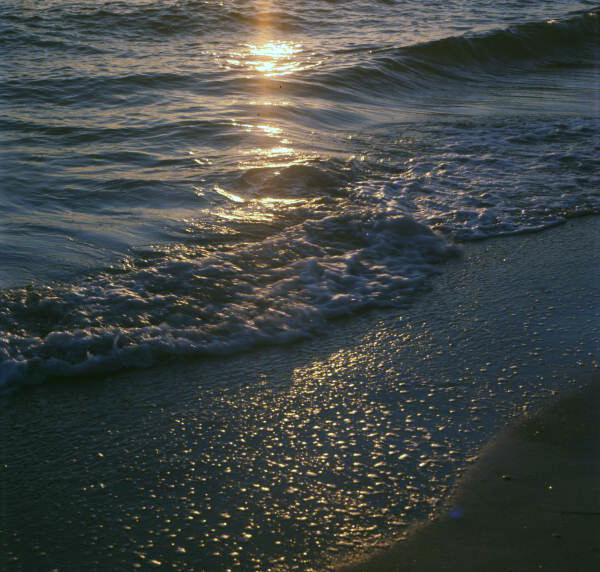 Close-up view of surf during sunset in Sarasota, Florida.