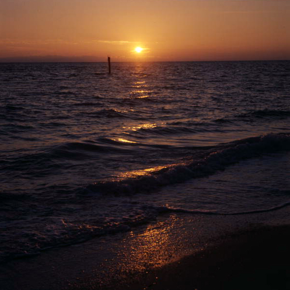 Scenic view of a sunset in Sarasota, Florida.