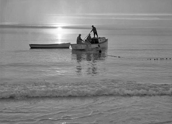 View showing fishermen using their beach seine net in Sarasota, Florida.