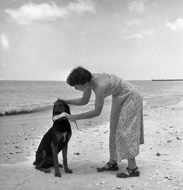 Woman coaxing dog into giving up the fish in Naples, Florida.