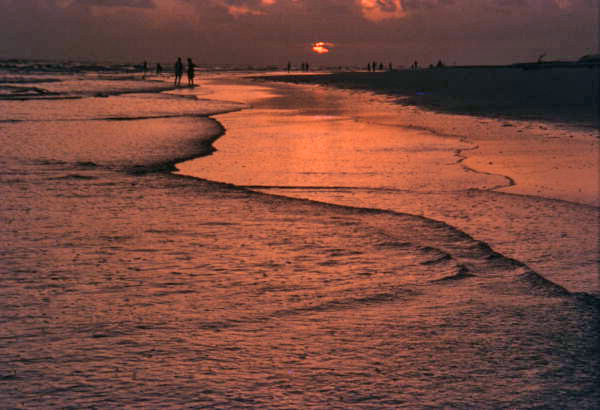 Scenic view of a sunset in Sarasota, Florida.