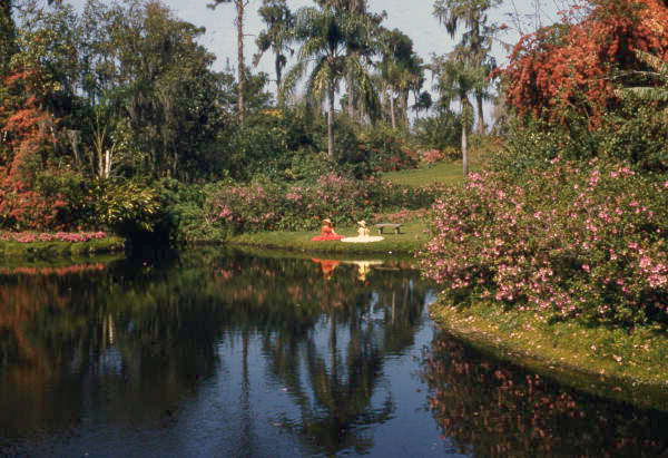 Scenic view at the Cypress Gardens theme park in Winter Haven, Florida.