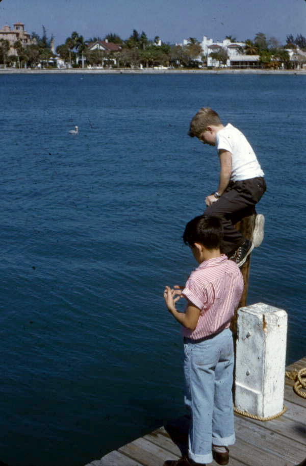 View showing boys at a city dock in Sarasota, Florida.