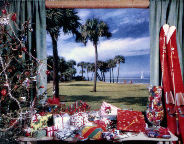View showing Christmas presents and tree by the window in Sarasota, Florida.